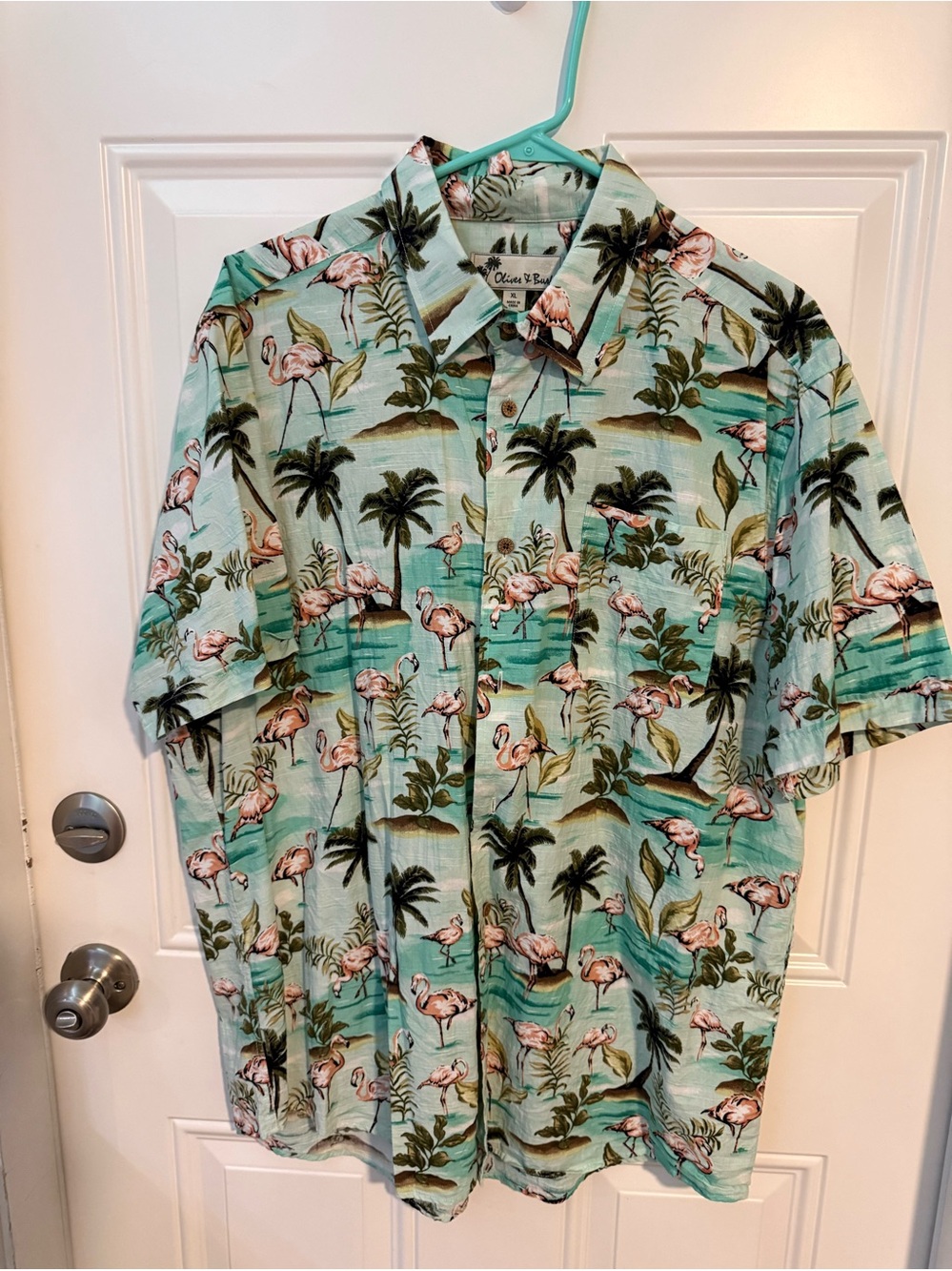Men's Aqua Flamingo Print Short-Sleeve Button-Down Shirt